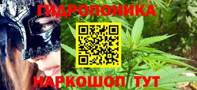 марихуана Кингисепп