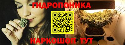 дживик Кимры