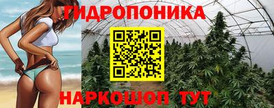 марихуана Кингисепп