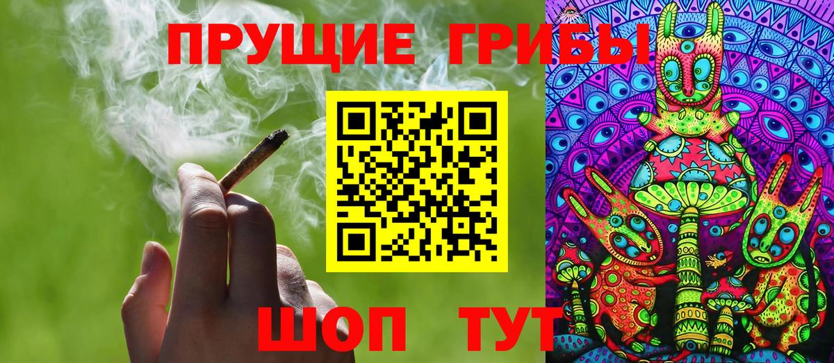 Клинцы  Галлюциногенные грибы Psilocybine cubensis  Псилоцибиновые грибы прущие грибы  Вход с VPN 