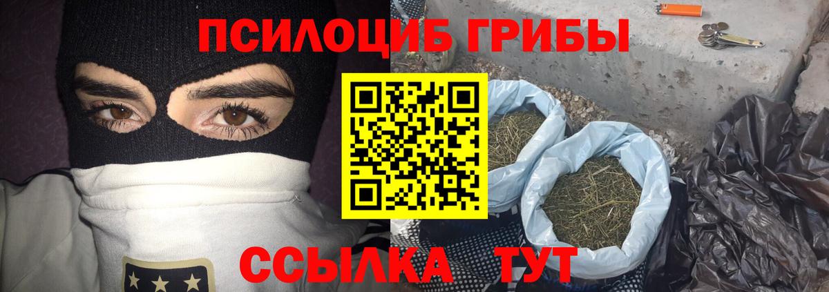 Псилоцибиновые грибы мицелий Клинцы